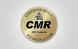 Certified Mold Remediator